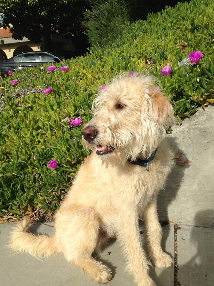 Hudson
